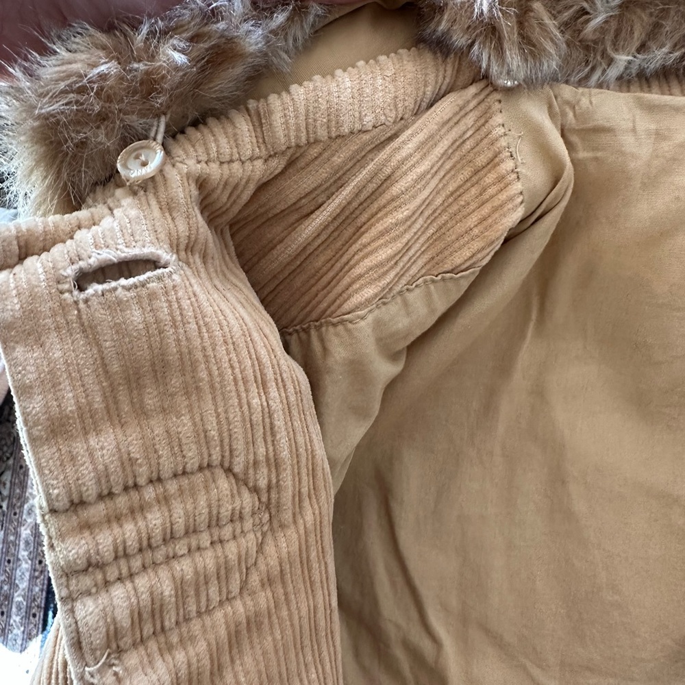 Mango - Picture 5 of 9